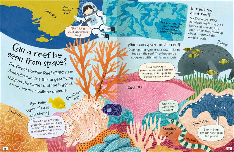 CURIOUS QUESTIONS & ANSWERS ABOUT CORAL REEFS - Odyssey Online Store