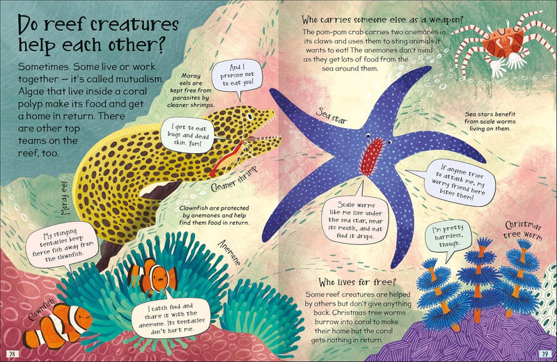 CURIOUS QUESTIONS & ANSWERS ABOUT CORAL REEFS - Odyssey Online Store