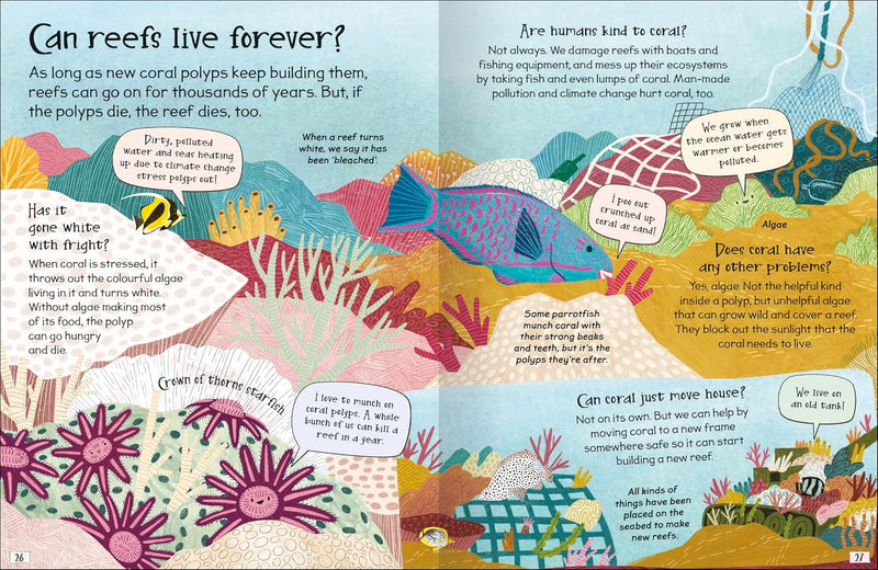 CURIOUS QUESTIONS & ANSWERS ABOUT CORAL REEFS - Odyssey Online Store
