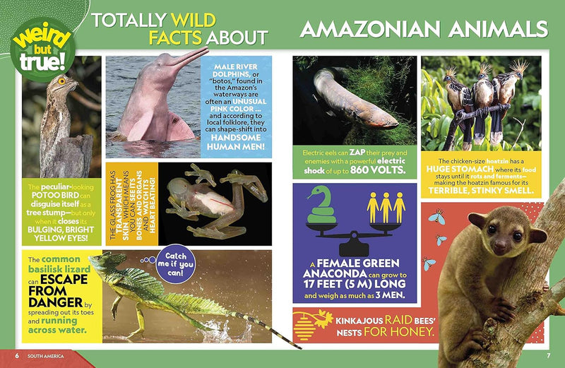 WEIRD BUT TRUE WORLD 2023 - Odyssey Online Store