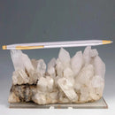 3302-NEW CENTURY MEDALIST B/P