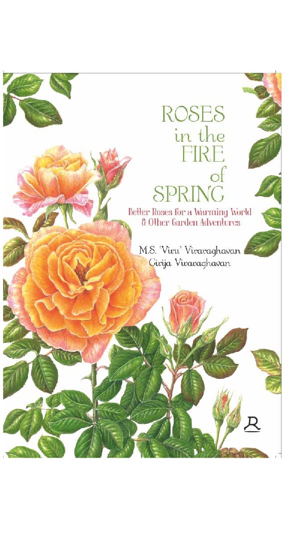 ROSES IN THE FIRE OF SPRING