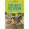 BOOK 9 : THE SECRET SEVEN MYSTERY