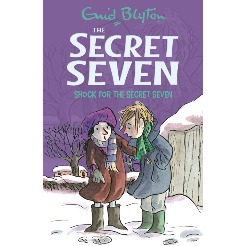 BOOK 13 : SHOCK FOR THE SECRET SEVEN