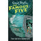 BOOK 9 : FAMOUS FIVE – FIVE FALL INTO ADVENTURE