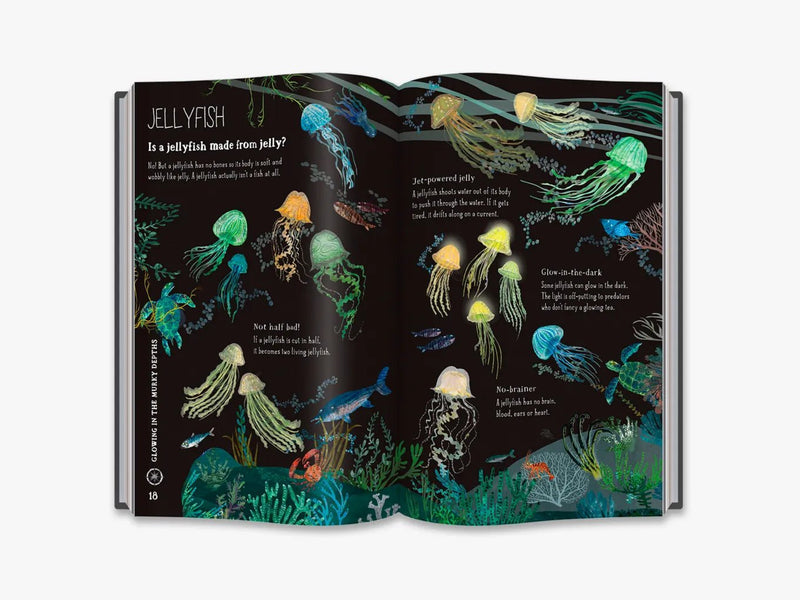 THE BIG BOOK OF THE BLUE - Odyssey Online Store