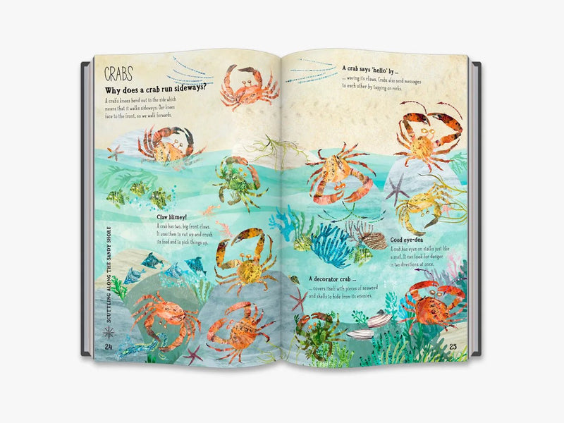 THE BIG BOOK OF THE BLUE - Odyssey Online Store