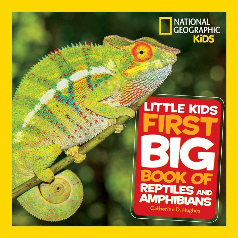 LITTLE KIDS FIRST BIG BOOKS LITTLE KIDS FIRST BIG BOOK OF REPTILES AND AMPHIBIANS - Odyssey Online Store