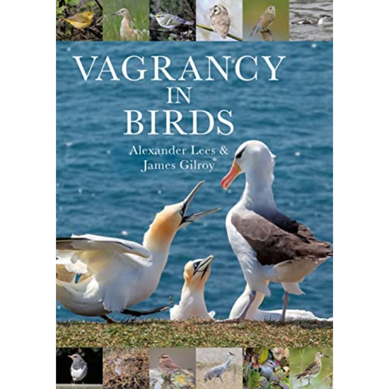 VAGRANCY IN BIRDS