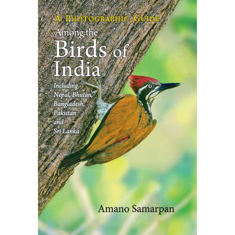 AMONG THE BIRDS OF INDIA