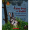 RAINY DAYS FOR RABBIT: LEARN ABOUT THE WEATHER