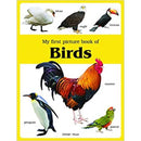MY FIRST PICTURE BOOK OF BIRDS PICTURE BOOKS - Odyssey Online Store