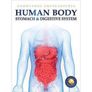 HUMAN BODY STOMACH AND DIGESTIVE SYSTEM KNOWLEDGE ENCYCLOPEDIA - Odyssey Online Store