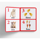 NUMBERS - EARLY LEARNING BOARD BOOK WITH LARGE FONT:BIG BOARD BOOKS SERIES - Odyssey Online Store