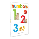 NUMBERS - EARLY LEARNING BOARD BOOK WITH LARGE FONT:BIG BOARD BOOKS SERIES - Odyssey Online Store