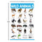 WILD ANIMALS  MY FIRST EARLY LEARNING WALL CHART FOR PRESCHOOL - Odyssey Online Store