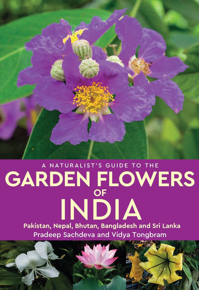 A NATURALISTS GUIDE TO THE GARDEN FLOWERS OF INDIA - Odyssey Online Store