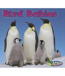 ANIMAL BABIES BIRD BABIES