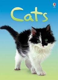 BEGINNERS : CATS