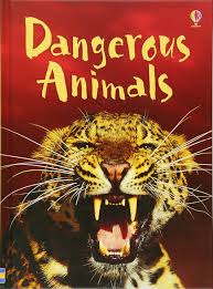 BEGINNERS : DANGEROUS ANIMALS