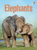BEGINNERS : ELEPHANTS