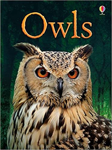BEGINNERS : OWLS
