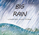 BIG RAIN - Odyssey Online Store
