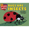 BUGS ARE INSECTS - Odyssey Online Store