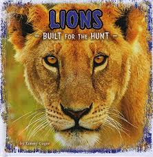 BUILT FOR THE HUNT LIONS