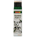 Camlin Kokuyo Drawing Pencils, Assorted Hexagonal, Pack of 6 - Odyssey Online Store