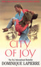 City Of Joy Paperback