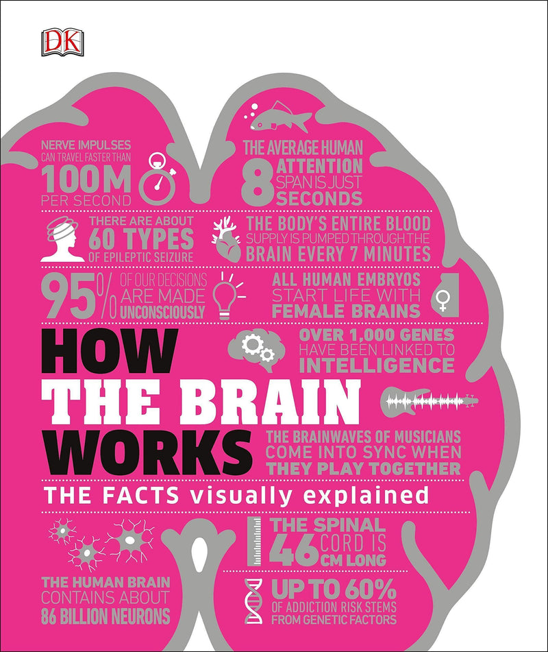 HOW THE BRAIN WORKS - Odyssey Online Store