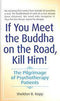 IF YOU MEET THE BUDDHA ON THE ROAD KILL HIM