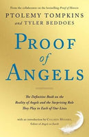Proof of Angels (Paperback)