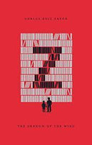 THE SHADOW OF THE WIND - Odyssey Online Store