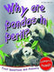 WHY ARE PANDAS IN PERIL ENDANGERED ANIMALS