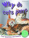 WHY DO CATS PURR CATS AND KITTENS